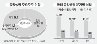 육류담보대출 발목…동양생명 실적 먹구름
