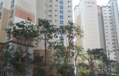 학주 근접 아파트 성남 분당구 ‘봇들8단지휴먼시아’, 최근 동향은?