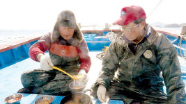 [오늘의 MBN] 여수 두 부부의 굴 맛 전쟁