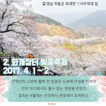 [카드뉴스] 3월 꽃잔치가 시작된다 - 전국 봄나들이 벚꽃 여행