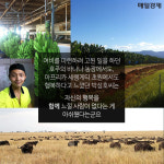 [카드뉴스] 단돈 50만원 들고 세계 일주한 카이스트생이 찾은 행복의 조건