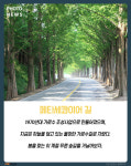 [카드뉴스] 푸른 숲 사이로 힐링 여행 - 전남 담양 ‘죽녹원&메타세콰이어 가로수길’ 
