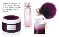 [Beauty] 살아난 결, 설레는 香…벚꽃 데이트를 부탁해