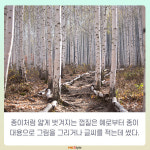[카드뉴스] 숲 속 힐링 - 강원도 인제 ‘원대리 자작 나무숲’ 