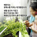[카드뉴스] 흙 한 박스만 있으면 누구나 도시 농부