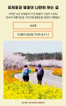 [카드뉴스] 제주여행 꽃길만 걷자 - 유채꽃&벚꽃길 지도