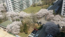 송파구 재건축 아파트 ‘잠실주공5단지’ 최근 매매가가...