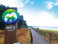 꽃향기 따라 바다와 숲길을 걷다, 태안 해변길 솔모랫길