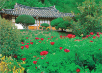 법정과 빨치산 여인의 `인연`