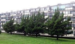 재건축 단지 상승세 강남구 ‘개포주공4단지’ 거래 활발