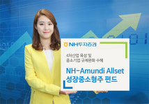 (주)에치와이-NH투자증권 | [문재인 시대 주식투자] NH투자증권 / NH-아문디 올셋 성장중소형주 펀드