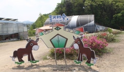 체험형 캠핑장의 꽃... 홍천 동키캐슬 캠핑장!!