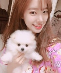 진세연, “새 식구 강아지와” 청순 비주얼