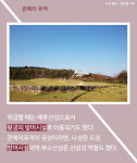 [카드뉴스] 소박하고 찬란한 백제 ‘사비(부여) 여행’