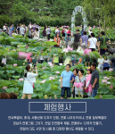 [카드뉴스] 은은한 연꽃향기 가득 - 부여 ‘서동 연꽃축제’