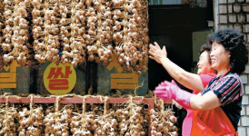 맛도 향도 비교불가 단양군 `단양마늘`