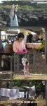 `효리네 민박` 아이유 출격... 대박나길 기대합니다. 본방사수!