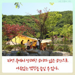 [카드뉴스] 산속 여름밤 1박 2일 체험기 - 포천 도토리  캠핑장