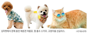 반려동물도 휴가 즐긴다…바캉스용품 판매 `쑥`