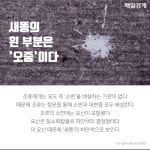 [카드뉴스]알쏭달쏭 과학상식 어디까지 알고 있니?