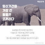[카드뉴스]알쏭달쏭 과학상식 어디까지 알고 있니?
