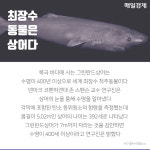 [카드뉴스]알쏭달쏭 과학상식 어디까지 알고 있니?