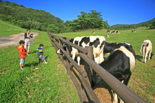 늦캉스는 더 아찔하게…`다이내믹 강원` 평창·정선 하늘을 날아볼까