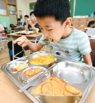 산란계가 닭고기로 쓰이면 위험…유통경로 추적해 즉각 폐기