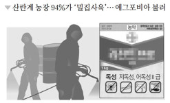독성 몰랐다 발뺌 농장주 vs 흙속에서 키워요 착한 양계農