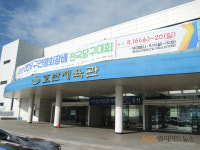 [춘천 대한당구연맹회장배] 4일차 포토 스케치