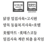 최대한 자연에 가깝게…`유기축산물 계란` 가장 안전