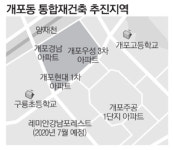 개포동 경남·우성3차·현대1차 통합재건축 추진
