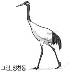 [필동정담] 동물복지