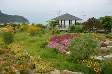 [GO! 섬으로] 아담하고 아늑하고 아름다운 섬 - 여수 ’손죽도’