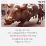 [카드뉴스] 뉴욕 월가에는 왜 황소상이 있을까?