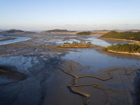 [매혹의 남도 기행] 다리로 연결된 ‘신안 안좌-반월-박지도’