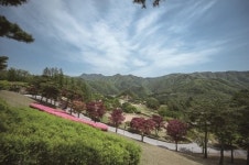 품격이 다른 친환경 골프장  크리스탈밸리 컨트리클럽