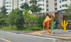 교통 호재 이어지는 고양시 일산동구 풍동 `숲속7단지주공`