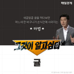 귤의 계절이 돌아온다…당신이 모르는 귤 `그것이 알고싶다`