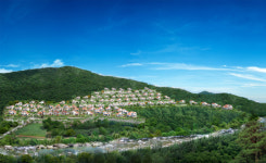 [분양 단신] 홍천 아리주말농장