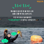 [카드뉴스] 제주 해녀의 숨비소리는 이어질 수 있을까