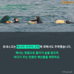 [카드뉴스] 제주 해녀의 숨비소리는 이어질 수 있을까