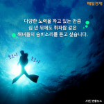 [카드뉴스] 제주 해녀의 숨비소리는 이어질 수 있을까