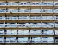 자신에게 맡겨진 소임을 다하는 것이 필요하다