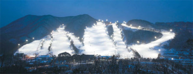 [명품 스키장] 가깝GO ! 신나GO !…야간스키의 명당 지산리조트
