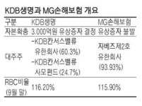 자본 확충 성공한 KDB생명, 매각까지 걱정하는 MG손보