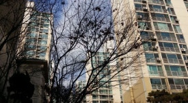 5호선 행당역 초역세권 쌍두마차 아파트 `행당한진타운`