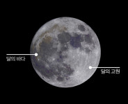 [이야기 책세상] 상상 속에서만 꿈꾸던 ‘달토끼’를 찾아나서다 