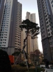 명문 학군과 최고급 시설 갖춘 서초동, `서초푸르지오써밋` 수요 많아