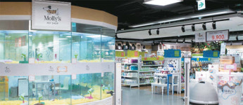 [펫산업이 뜬다] 아이와 장보러 온듯…반려동물도 함께 쇼핑하는 가족형 매장